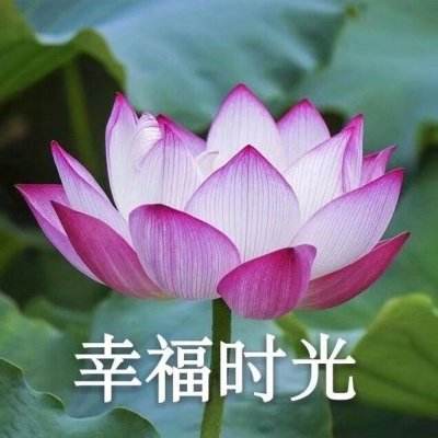 别动我装备手游下载