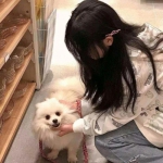 tiny islands免付费破解版下载